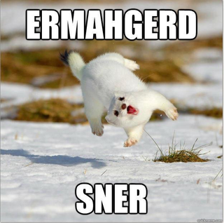 Illustration for article titled SNER DAY!